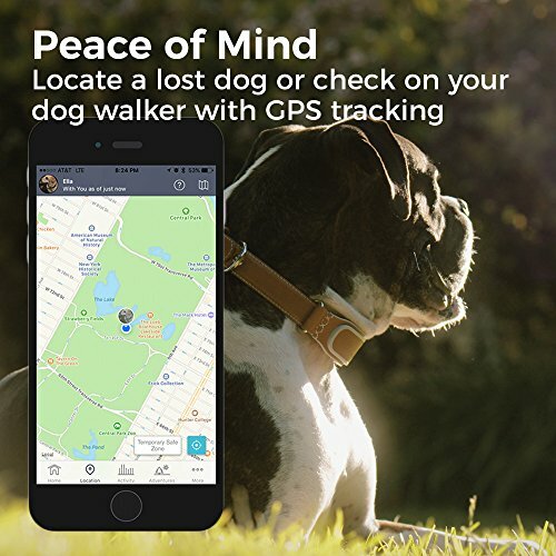 akc gps collar