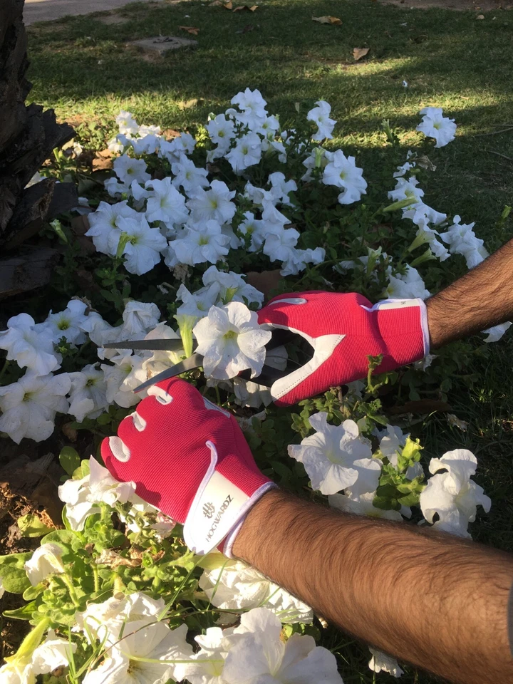 Ladies Women Leather Gardening Gloves Thorn Proof Safety Garden Working Gloves - Image 4 of 4