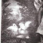 Picture 6 of 8