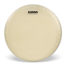 Evans CT14SS 35.5 Cm (35,6 Cm) Strata Concert Staccato Per Rullante Con Anello Di Smorzamento 0.254 Mm, Sintetico