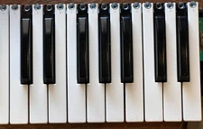 Korg MS2000, PA60, Roland, Nord Lead, Edirol, Replacement Key and Spring