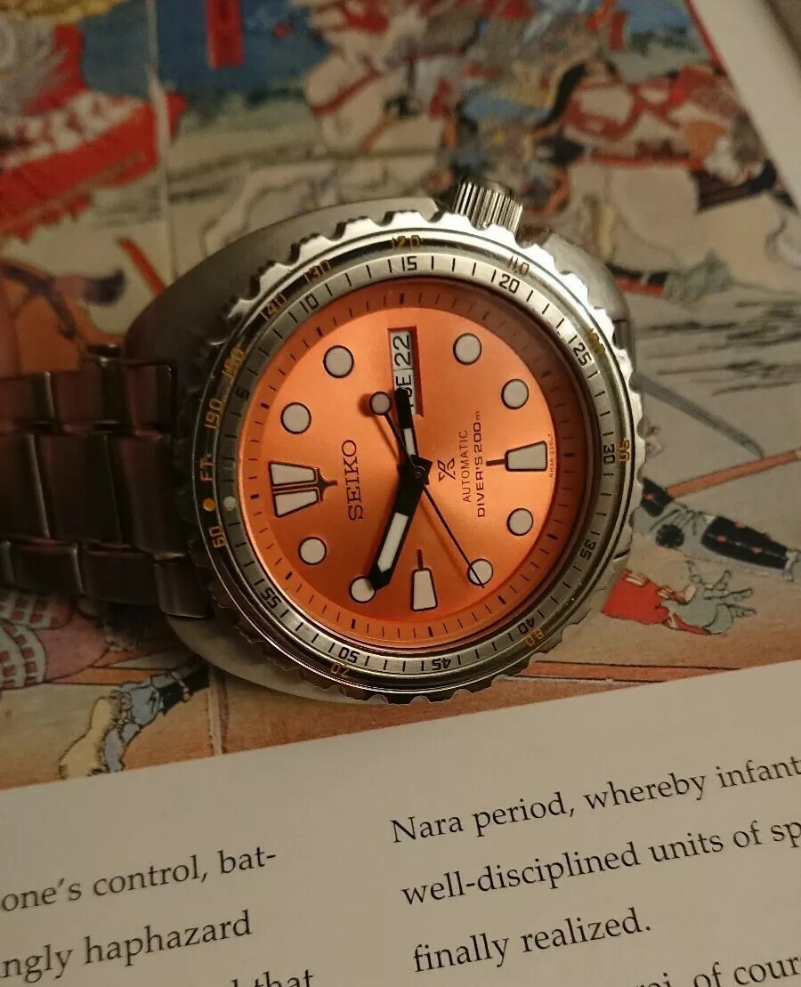 Seiko Turtle Dr Seikostain Bezel Snzh Coin Edge Bezel Seiko Turtle