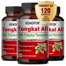 Tribulus Terrestris - Natural Energy Workout Support - Dietary Supplement