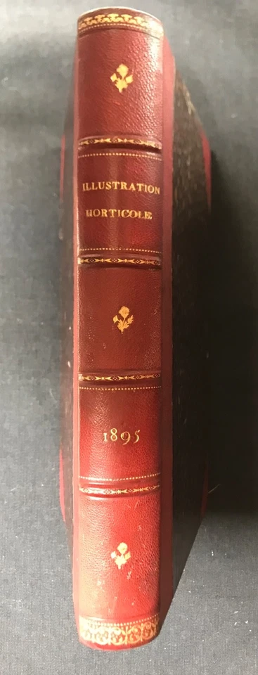 1855 L'illustration horticole par Linden - botanique horticulture - Planches - Photo 2/4