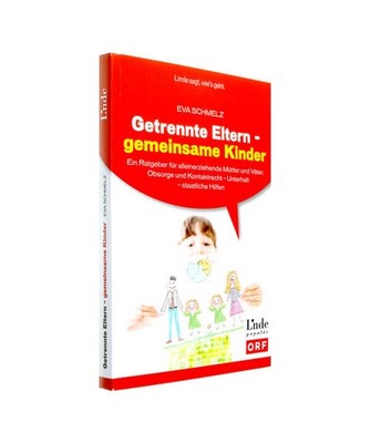 Getrennte Eltern - gemeinsame Kinder: Ein Ratgeber für alleinerziehende Mütter