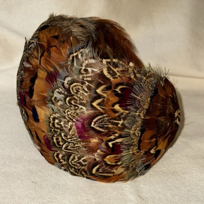 Antique Art Deco 1920-30s Pheasant Feather Fascinator Hat