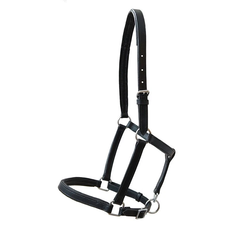 GERMAN RIDING gepolstertes Lederhalfter Everyday schwarz Pony Cob Full 2-fach verstellbar NEU