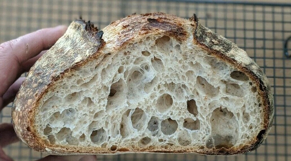 109 y/o French Sourdough Starter & Recipe - Organic Wheat - image 4 of 4