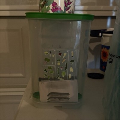 Tupperware Produce Saver Clear Plastic Container Green Snap Lid Vegetable Print