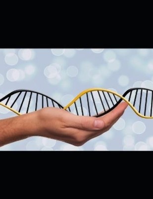 Aj Kirby Biggest, Most Comprehensive DNA Testing Companies Review- 2 (Paperback)