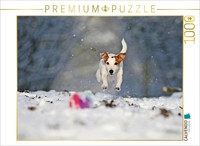 Calvendo Puzzle Winterspaß 1000 Teile Puzzle Quer | 1000 Teile Lege-GrößE 64X48C