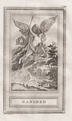 Ganymed Ganymede Sohn Tros Gott Antike Altertum Mythologie Kupferstich 1800