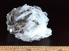 Bild 4 von 12