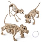 2 Pcs Dachshund Dog with 1 Pcs Cat Skeleton Halloween Spooky Decoration — photo 1