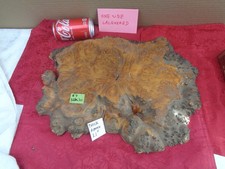 Burlwood Tree Slice 7