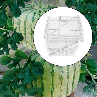 Quadratische geformte Wassermelone wachsende Form hohe Zugfestigkeit Obstform Werkzeug