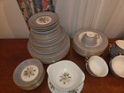 61 PCS. VTG. Princess -Golden  Peony -Tru-tone USA- WITH ACCESSORIES — photo 2