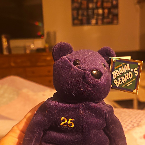 Salvino's Bamm Beano's McGwire 25 Plush Bear Vintage 1998 MPN 5983