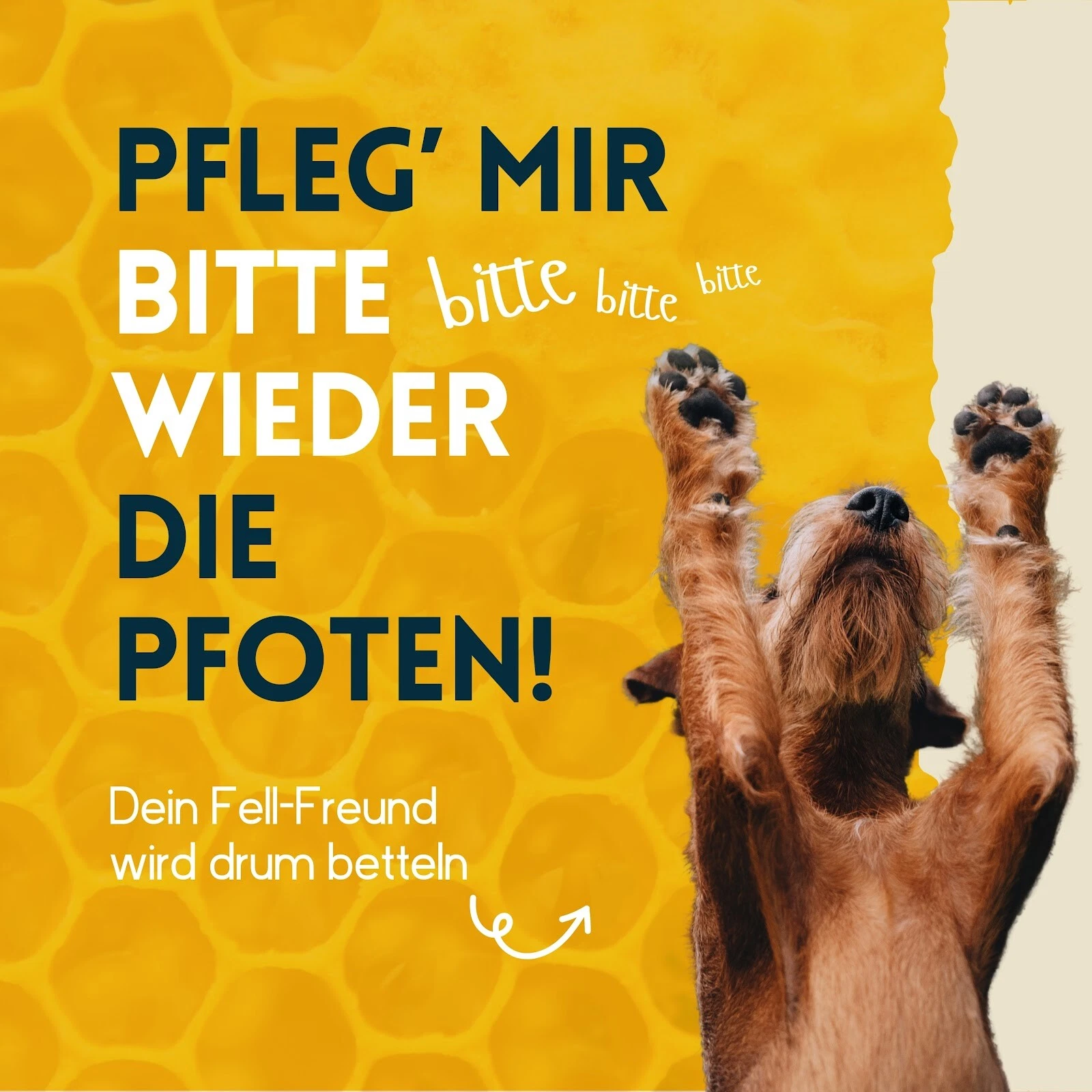 Bild 4 von 6