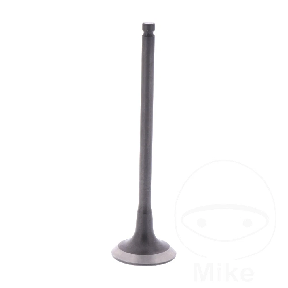 The original 2024 outlet light
