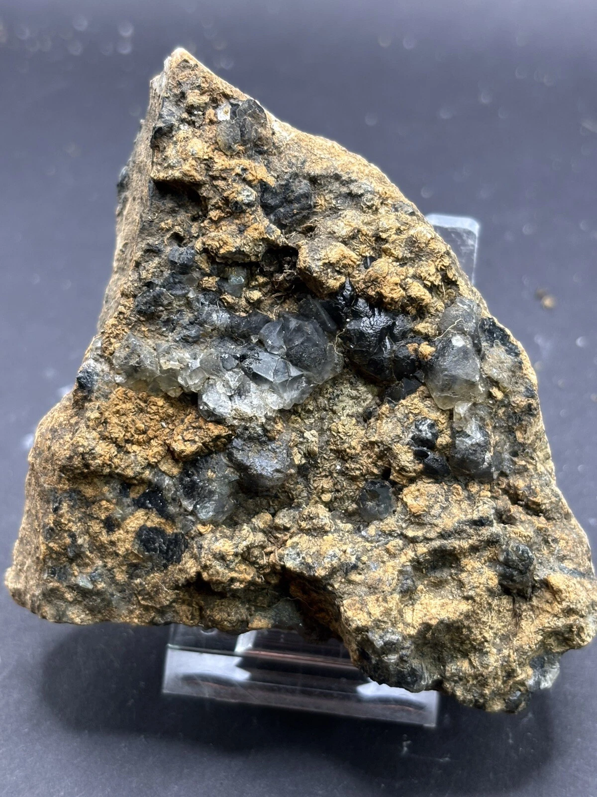 Foto 1 di 3