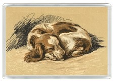 WELSH SPRINGER SPANIEL DOG FRIDGE MAGNET GREAT GIFT