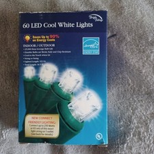 60 LED Indoor/Outdoor 15.5 Feet Long Green Wire Cool White Lights End To End