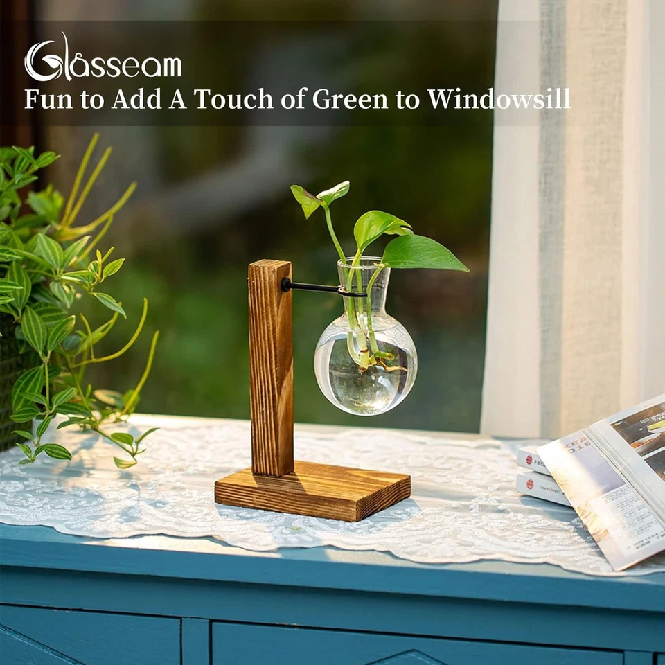 Vermehrungsstation Holzregal Reagenzglas Vase Vintage Avocado Kugel Für Pflanzen - Bild 2 von 3