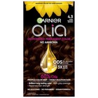 Garnier Hair Color Olia Ammonia-Free Brilliant Color Oil-Rich Permanent Hair ...