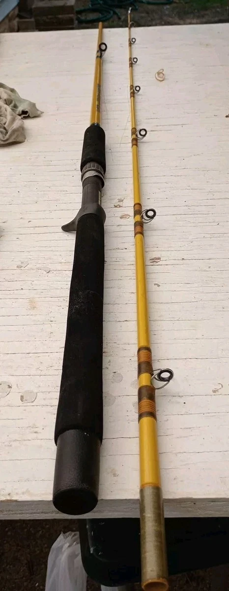 Fuji Saltwater Fishing Rods & Poles for sale | eBay