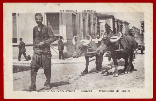 #61050 Tesalónica Grecia años 1910 (circa Primera Guerra Mundial). Lote de 10 postales usadas vintage - Imagen 6 de 21