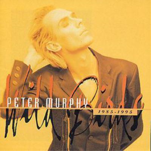 Peter Murphy Wild Birds: 1985 - 1995 (CD) Album