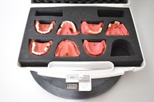 Go-Dent Schaumodell mit Koffer , Dental, Zahntechnik  ED8151