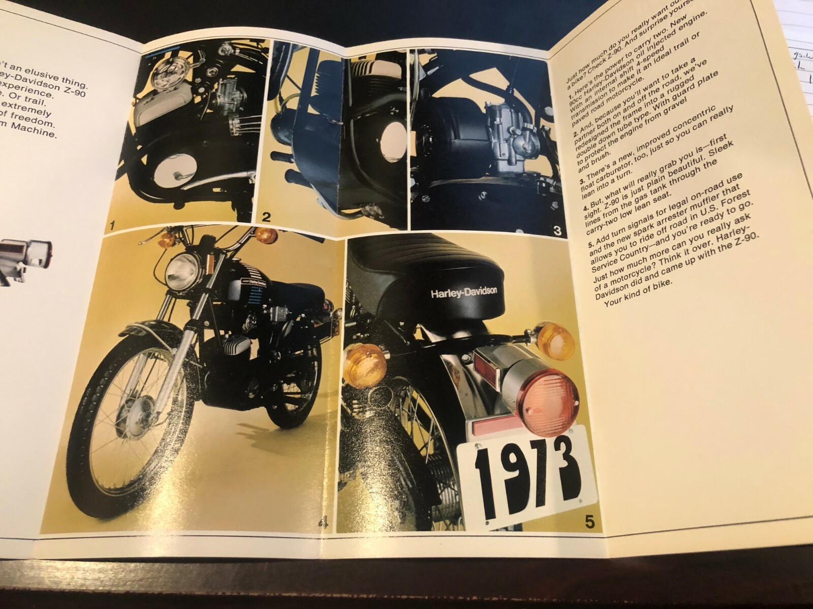 Picture 6 of 6