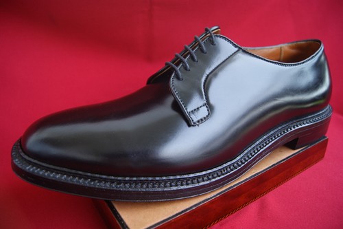 Alden Piel De Caballo Shell Cordovan 13 E Plain Toe Blucher Negro Cordovan NUEVO - Imagen 9 de 11