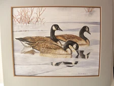 Original Oil on Paper Painting Canadian Geese by Dee Dee Murry Duck Stamp Artist
