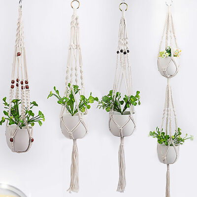 peperomia hanging plant Buy Peperomia Caperata Green Hanging Plant