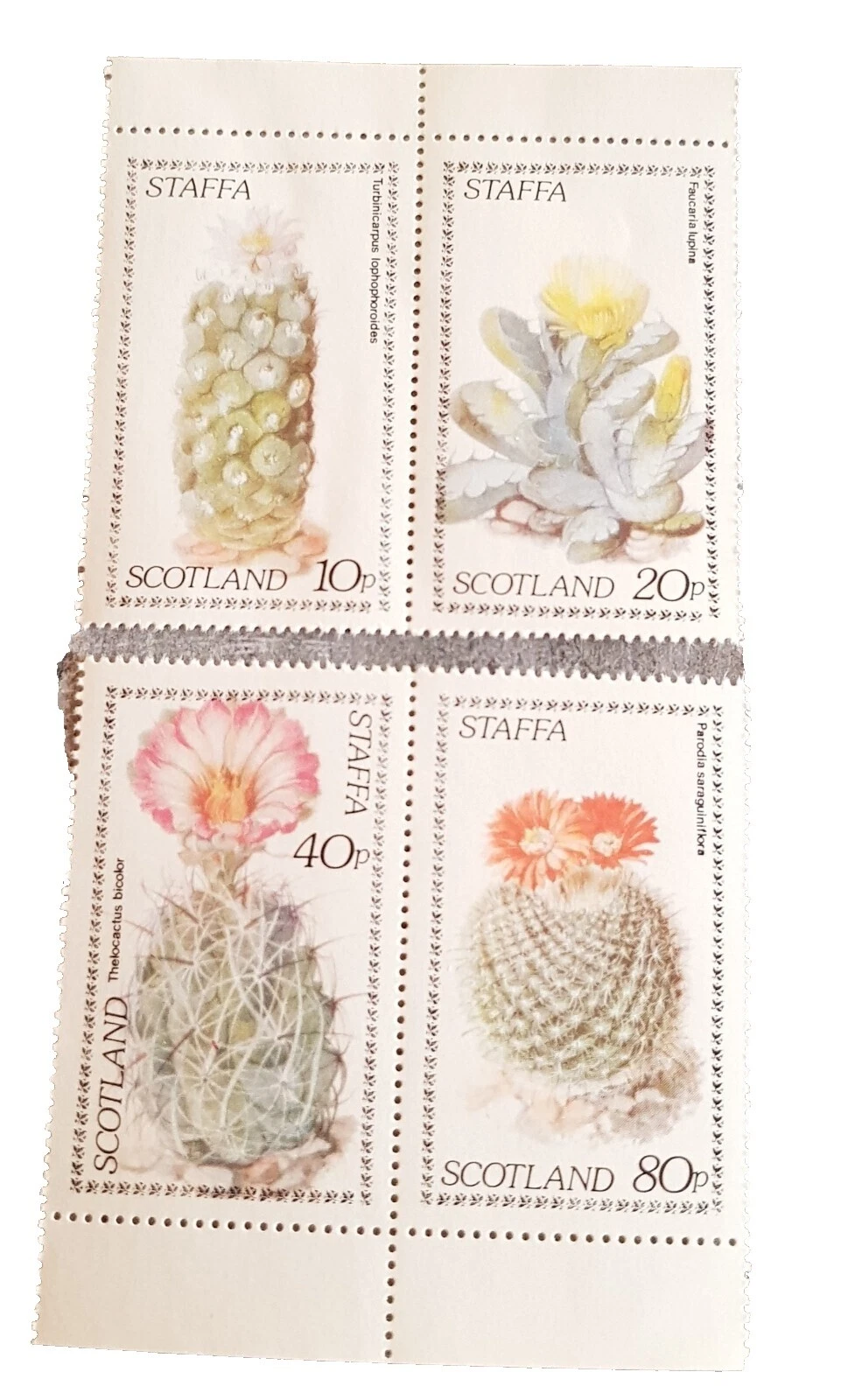 Plantas Indivíduos para mergulho autônomo e Mergulho Livre