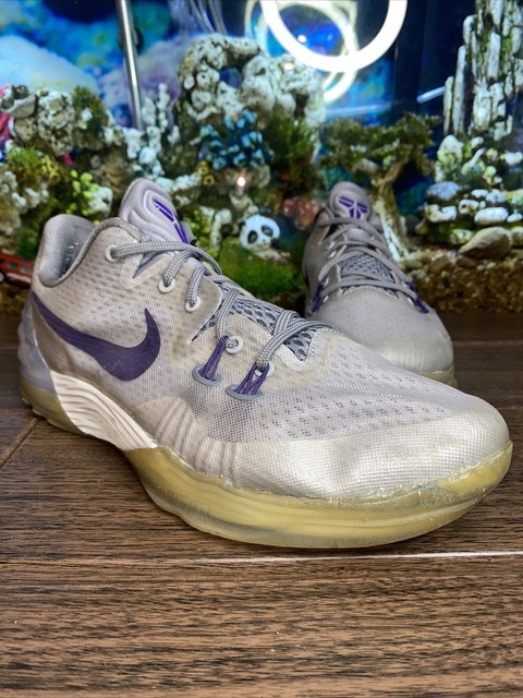 nike kobe venomenon 5 jordan