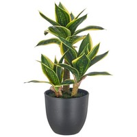 Kunstpflanze Sanseveria Trifaciata, Farbe GrüN, Inkl. Kunststoff-Topf, HöHe Ca.