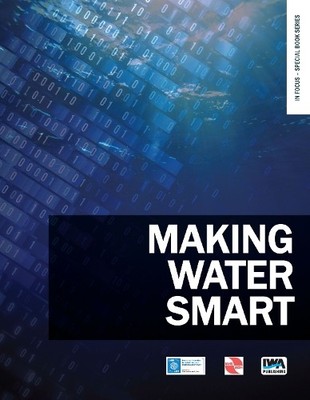 Jean-Philippe Steyer M. Victoria Ruano G Making Water Sm (Paperback) (UK IMPORT)