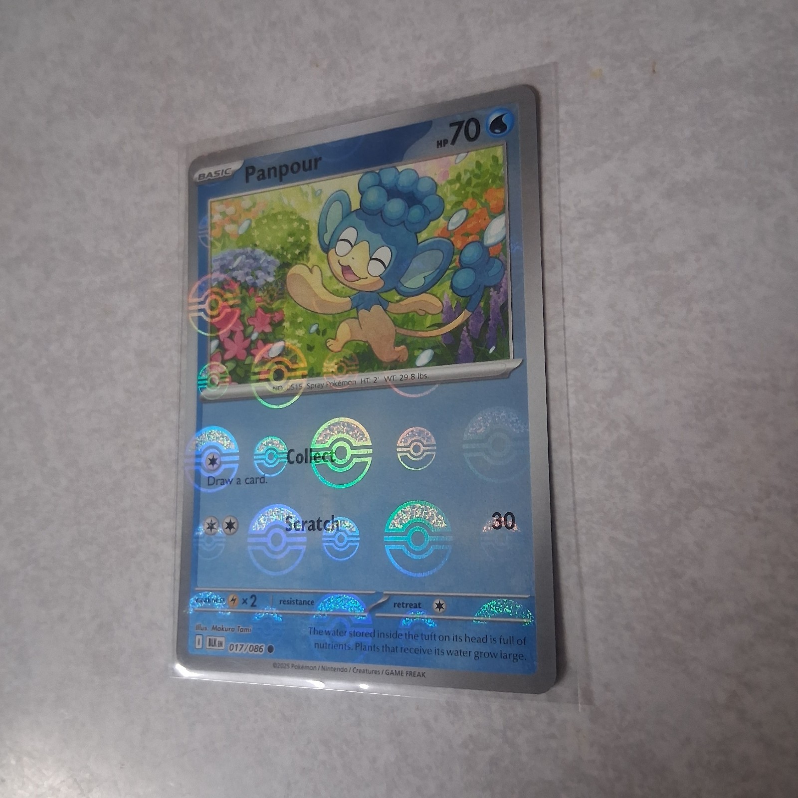 Panpour (Poke Ball Pattern) - 017/086 - Black Bolt Holo Pokemon TCG NM