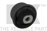 NK Lenkerbuchse Renault P. Scenic/Megane 09 Hinten