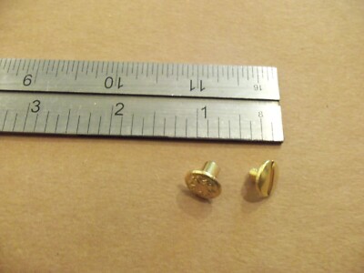 1/4'' Solid Brass Floral Head Chicago Screws (100 pack)