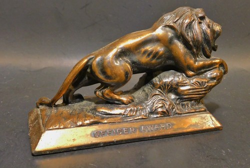 Bronze Lion Melvin Jones Birthday Program Officer Award - Picture 4 of 8