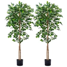 2Packs 5FT Artificial Ficus Trees with Realistic Leaves and Natural Trunk, Fa...