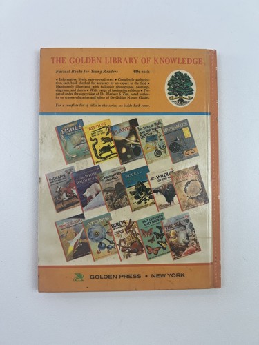 Golden Library of Knowledge MATHEMATICS The Story of Numbers, Symbols, & Space - Picture 2 of 5