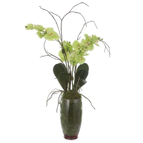 Uttermost Valdive Contemporary Polyester Polyfoam and Plastic Orchid in Green - Picture 3 of 4
