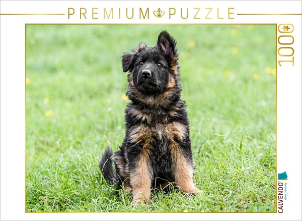 Calvendo Puzzle Shepherd Dog - Puppy Bitch | 1000 Pieces, Finished Size 25.2 × 1-image