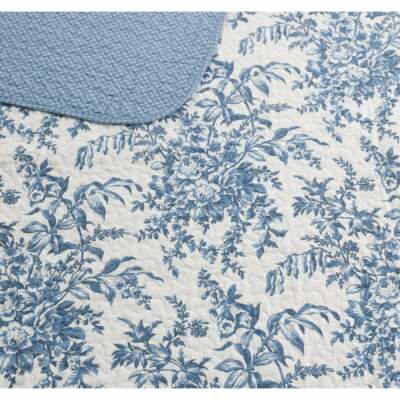 NEW! ~ COZY FRENCH COUNTRY SHABBY CHIC FLOWER BLUE TROPICAL ROSE LEAF QUILT SET